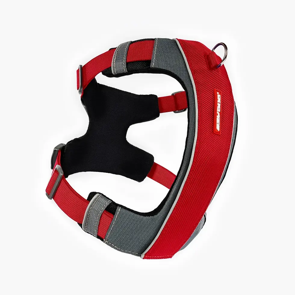 Thumbnail: EzyDog X-Link Harness - XS to XL