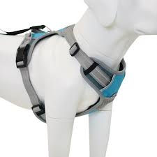 Thumbnail: Natural air-dried dog treat