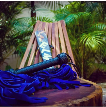 Elmo and $hits in Mexico.jpg