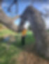 Maggie with Tree.jpg
