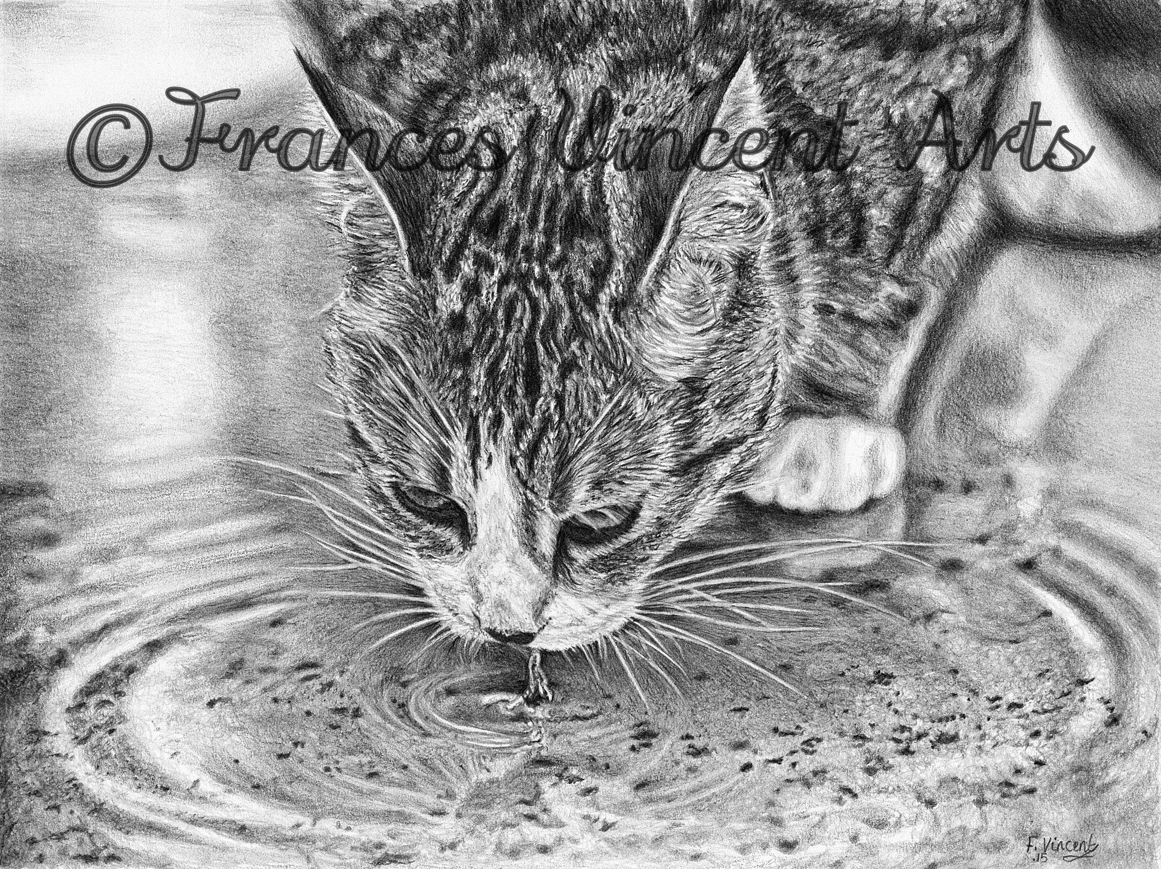 Creating Ripples
