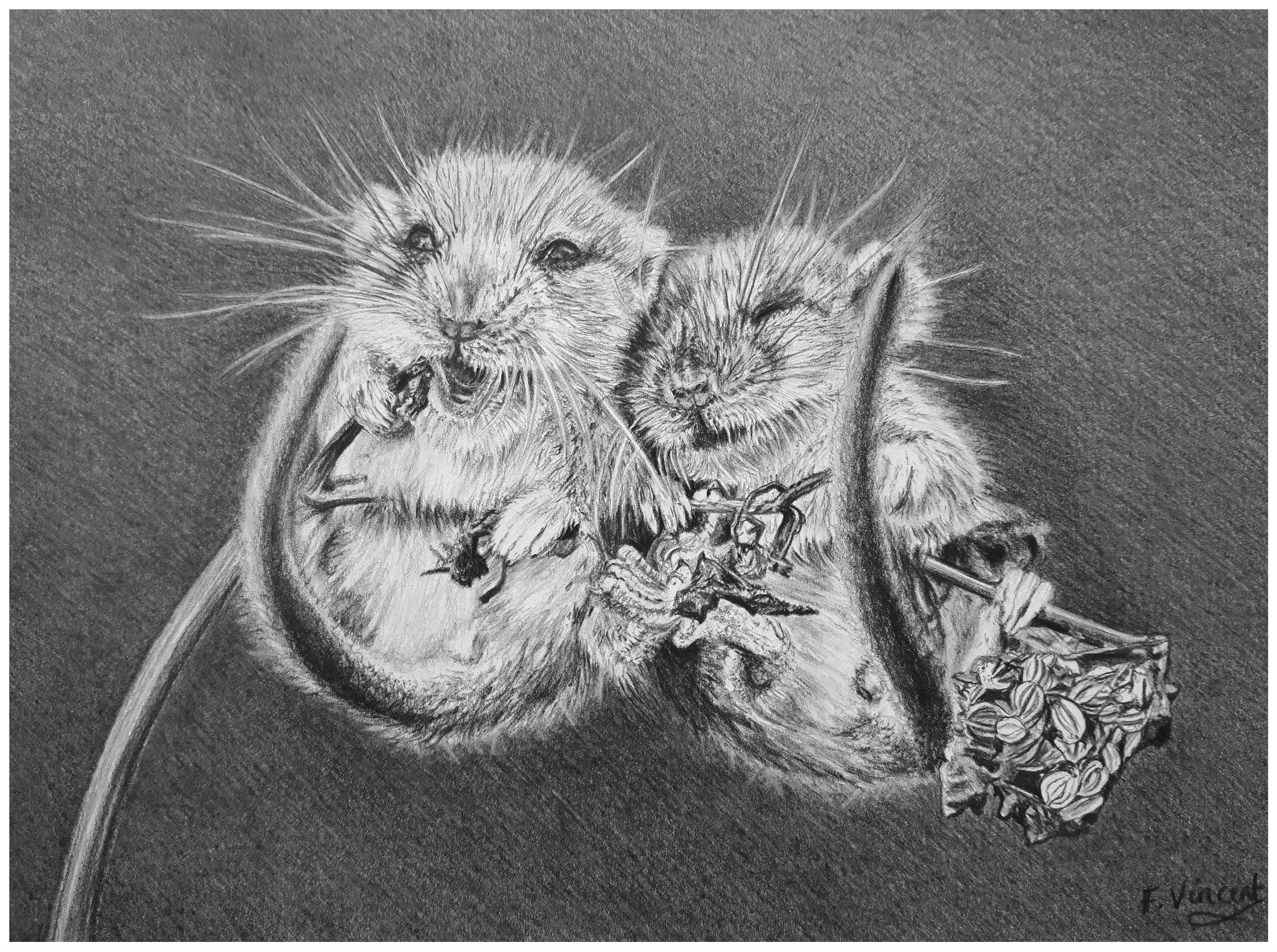 Really Happy Dormice