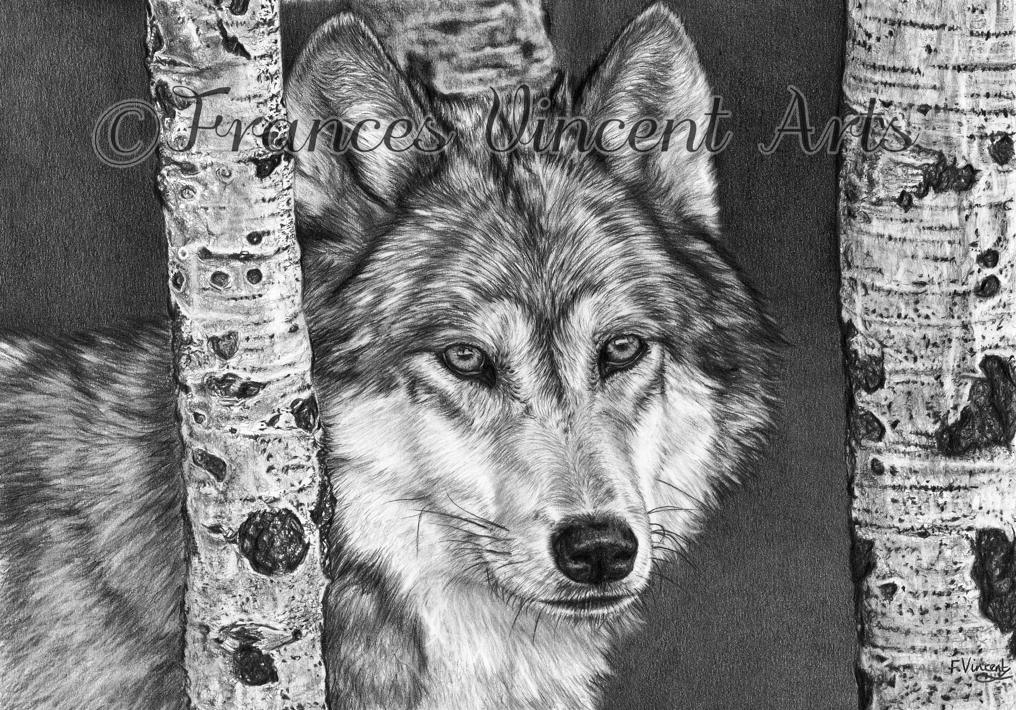 Lone Wolf