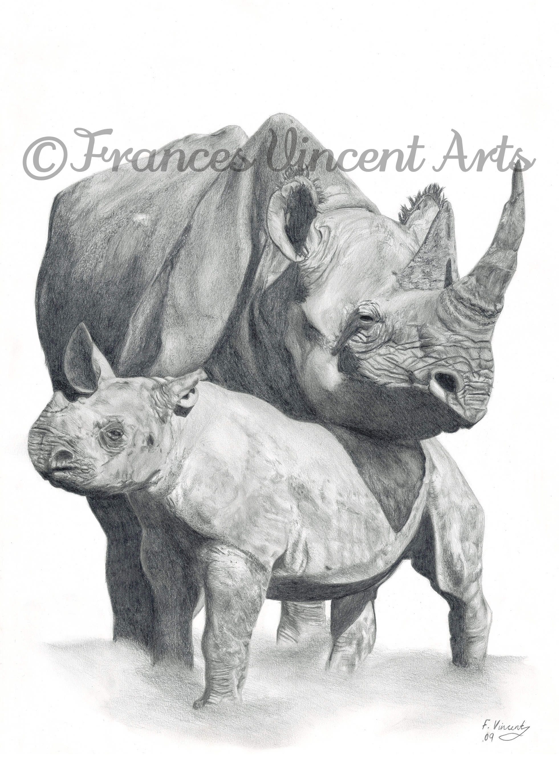 Mother and Baby Rhino