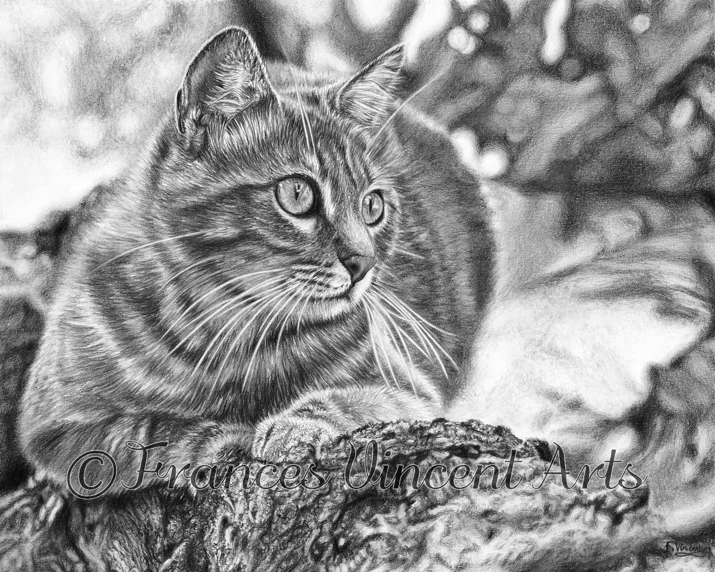 Out on a Limb