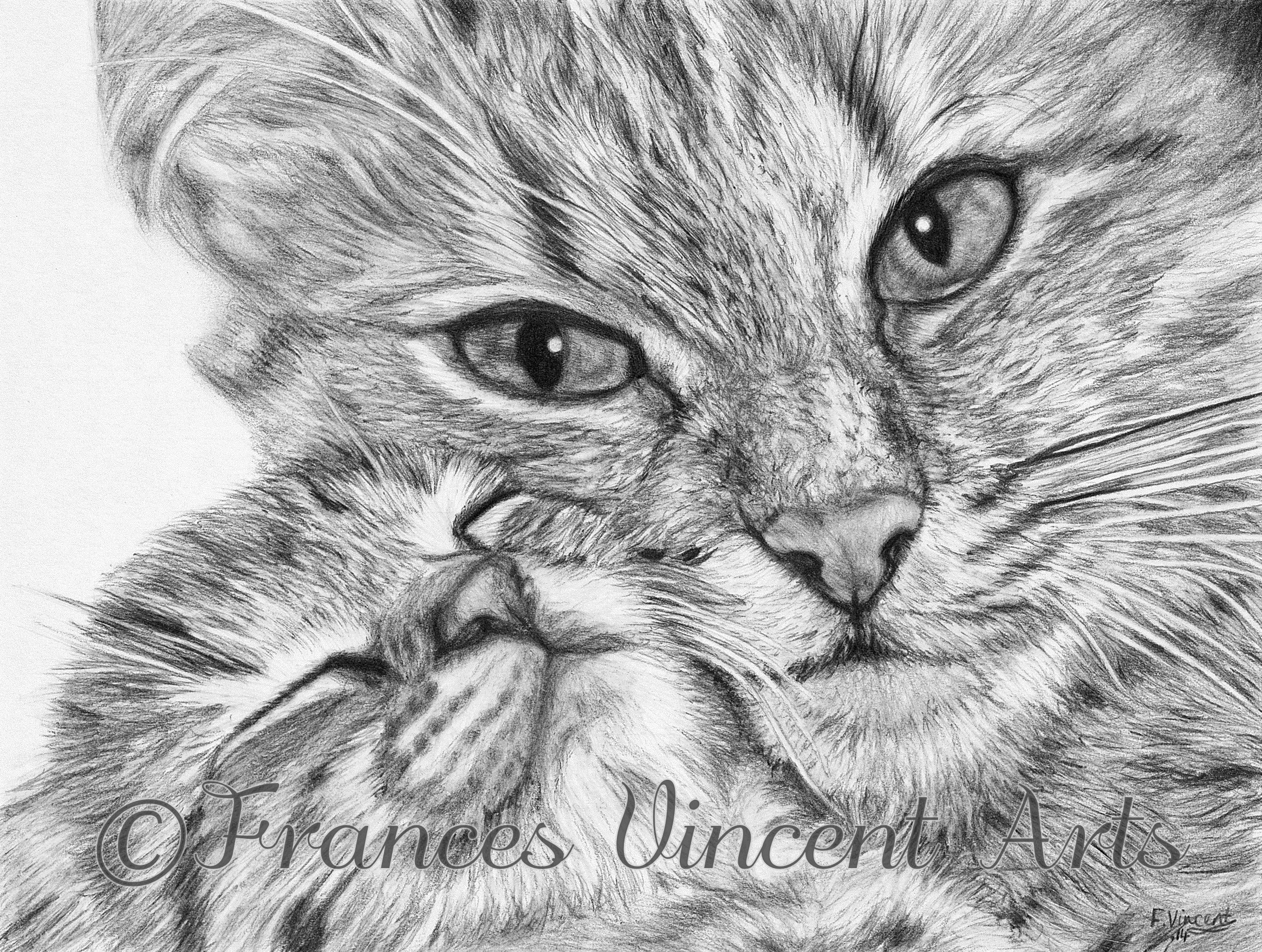 Always Together