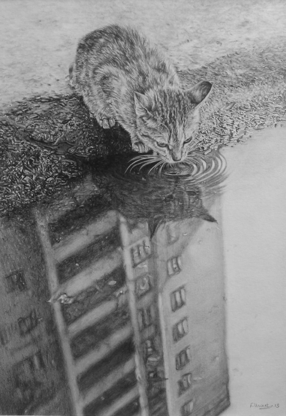 City Kitty