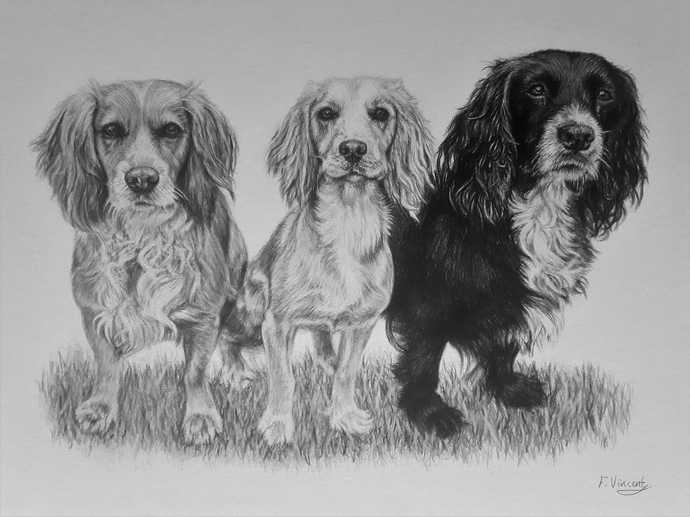 Mabel, Dotty & Ruby
