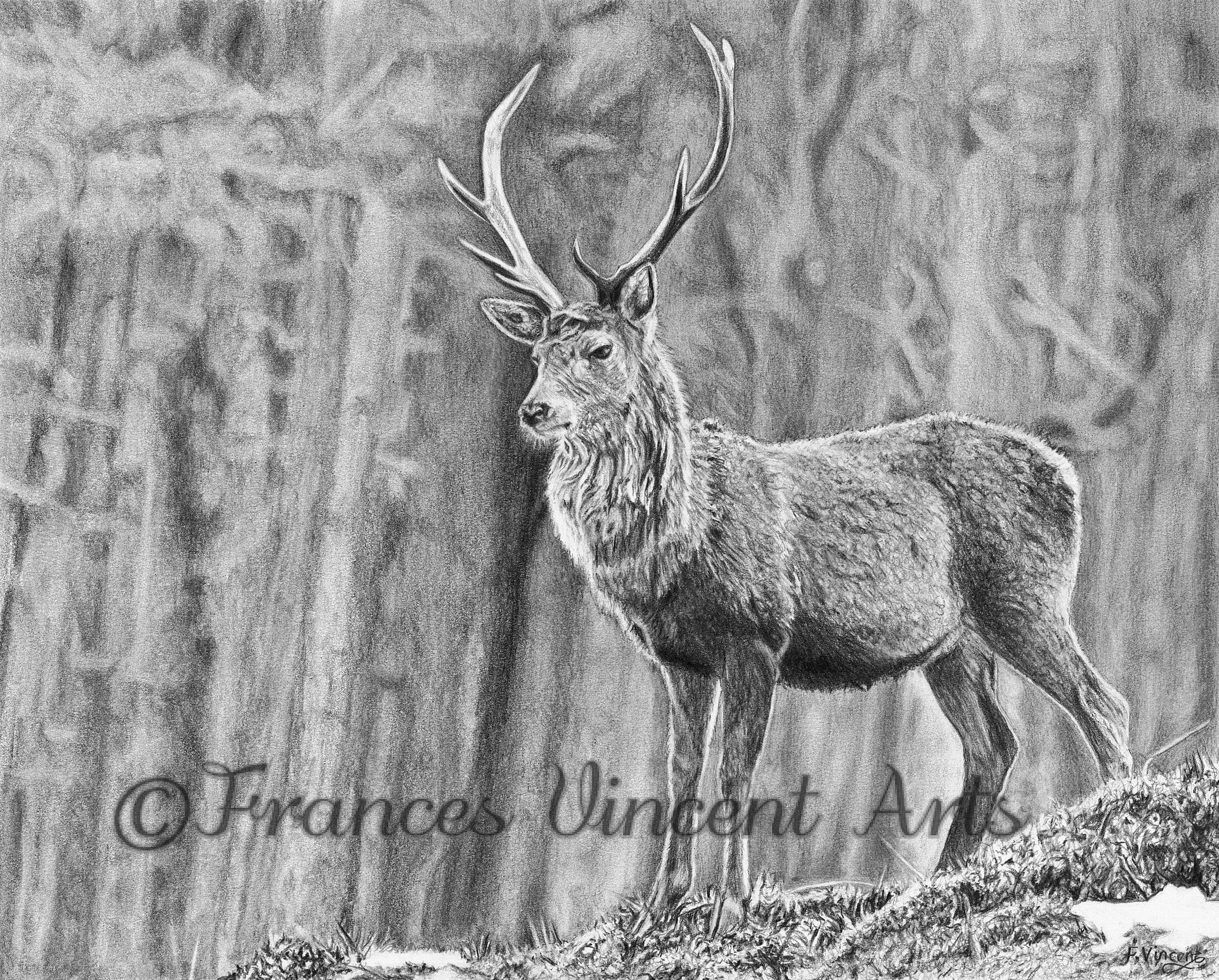 Laird of the Forest
