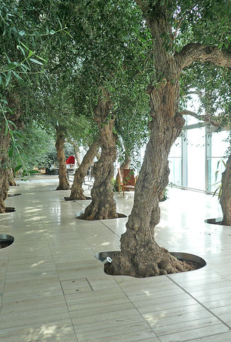 P1300362adjrotcrop.jpg