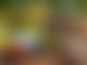 Best Herbal Remedies Recommended by Adelaide Naturopaths