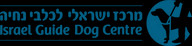 IGDC LOGO ALL BLUE copy.jpeg