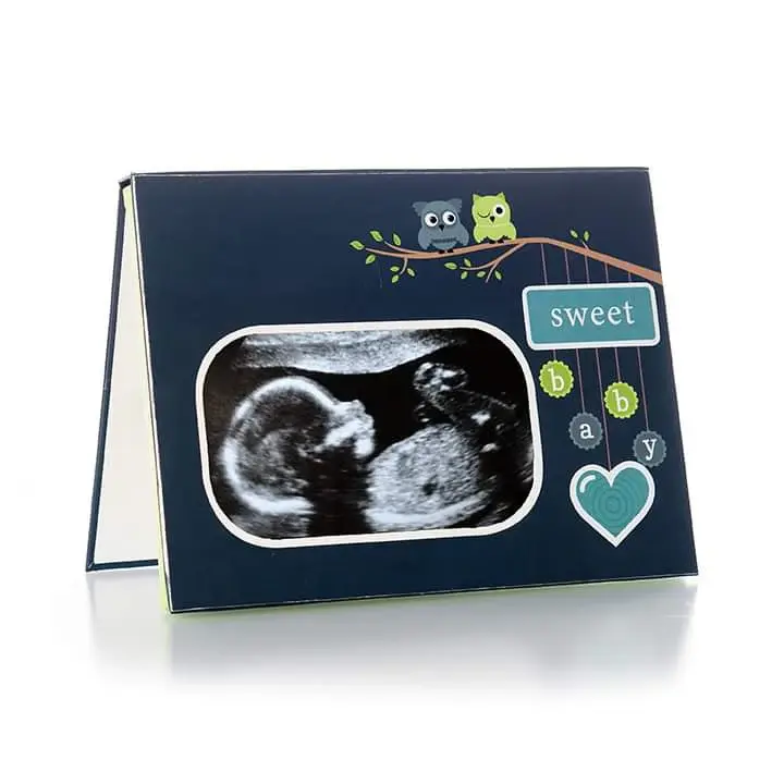RECORDABLE HEARTBEAT FRAME