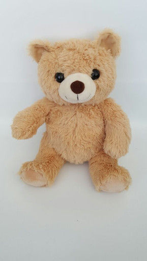 TEDDY BEAR