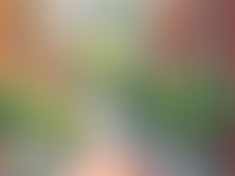 An image depicting a vibrant urban neighborhood street with pedestrian and bike-friendly features.