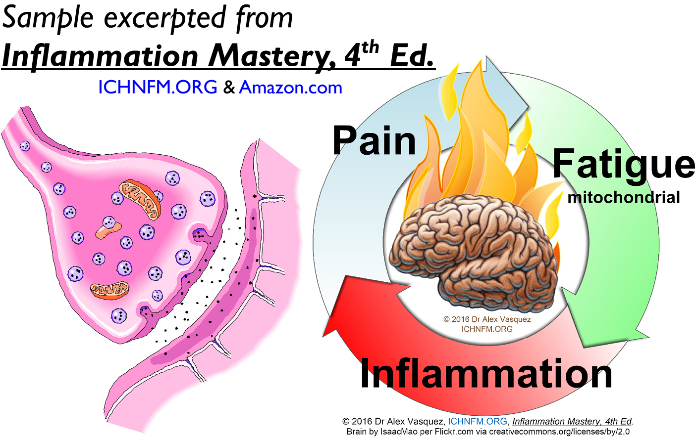 Textbook of Clinical Nutrition and Functional Medicine, Vol. 1: Essent