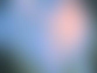 what is happiness: THE SPECTRUM OF HAPPINESS