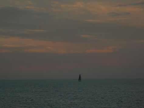 mini shorts: "drift," by Rachel Jeong