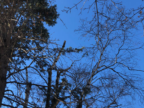 My Journey to Self-Help