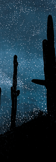 Untitled design (8).png