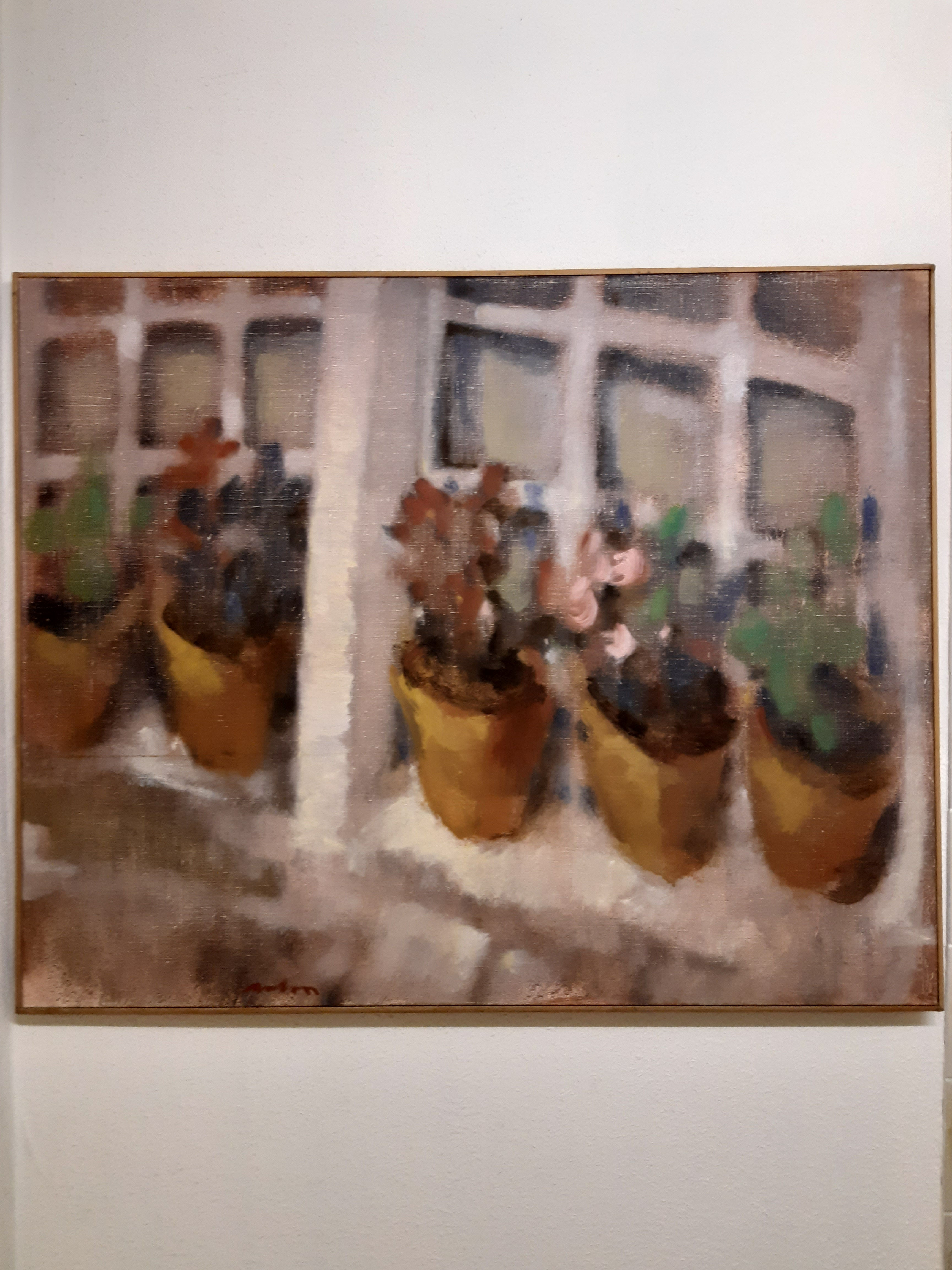 Geraniums in onze vensterbank