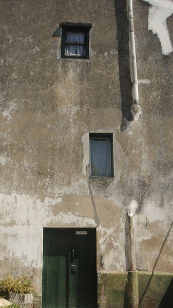 DSC01594_edited.jpg