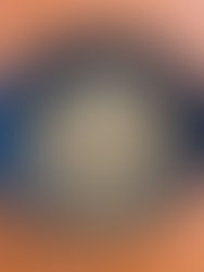 工房mole通信 243号