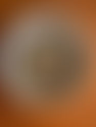 工房ｍｏｌｅ通信　３６１号