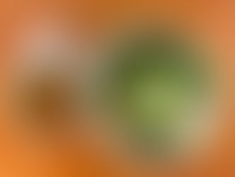 工房ｍｏｌｅ通信　３８９号