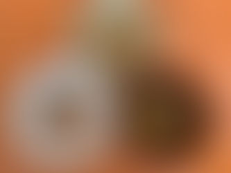 工房mole通信 247号