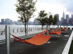 Orange Hammocks at Gantry Plaza State Park