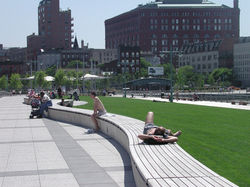 Pier_45_Curved_Bench_And_Centralized_Lawn_Area