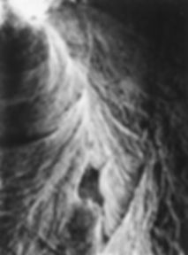 198215_452.jpg