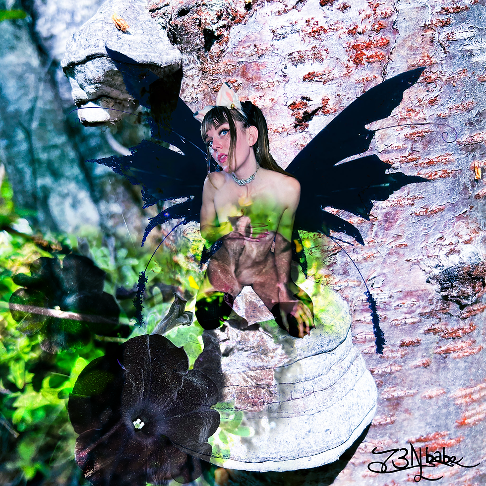 May, 16, 2026 Taurus New Moon