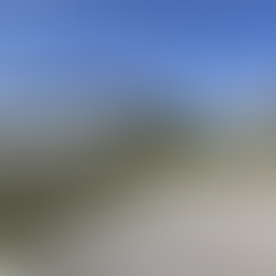 Greenhouse Growing at Harding