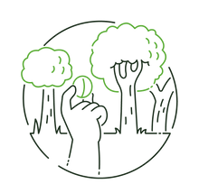 CO2 SL - tu lo addotti.png
