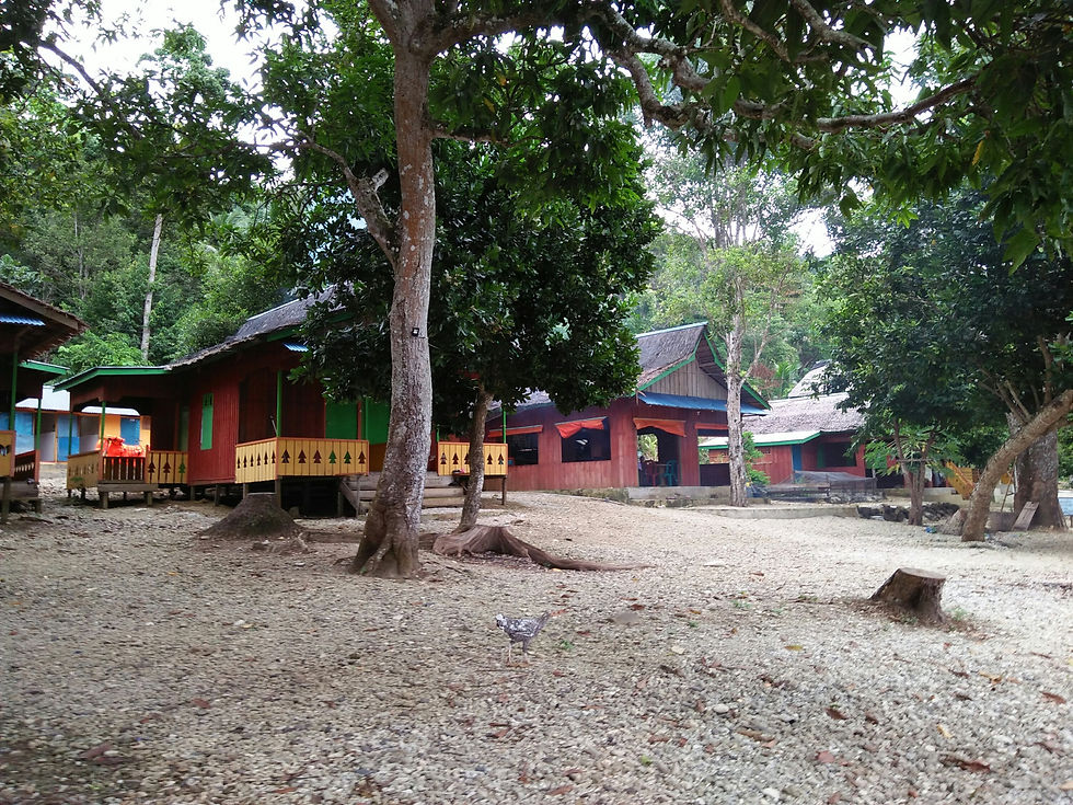 img20171104163909-1676924503