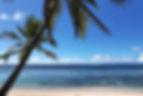 bandeau site kaza.JPG