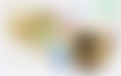 Pikmin Bloom June 2025