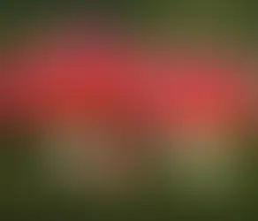 Pikmin Bulborb Real Life Inspiration