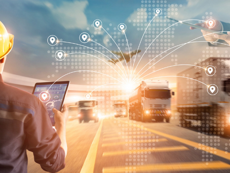 Argus Logistics: A Leading 3PL Provider