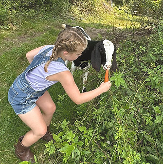 programs img child feeding goat