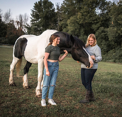 our story - jamie collins blue iris farm
