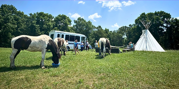 elderly seniors on a farm visit to Blue Iris Farm