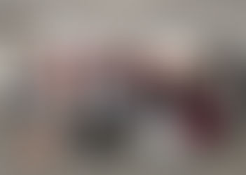 Lubberstedt Family - BB Crashers, An Amazing Organization