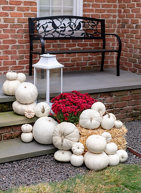 home why choose us ghost white pumpkin display