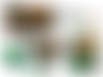 branding services for small business branded billboard, business cards, flyers and postcards