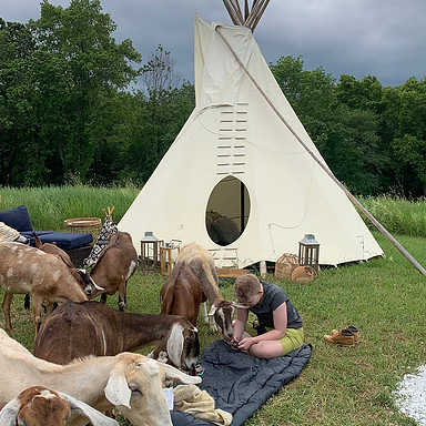 special needs guest engaging with our animals at their own pace