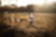 visit_visit the farm animal rescue blue iris farm