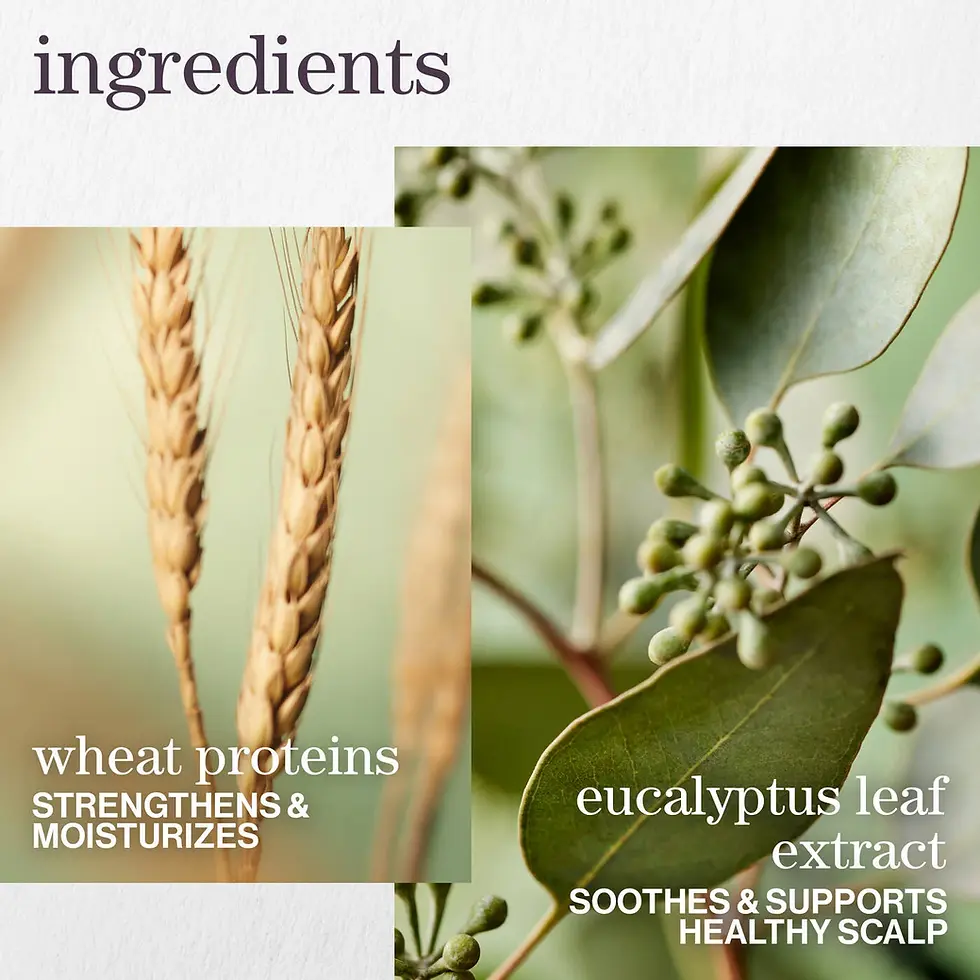 Thumbnail: Hydrate Sheer Shampoo